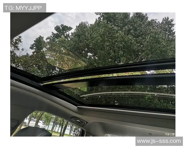 广州滑板队与武汉滑板队赛后复盘分析灵活性表现与战术对比