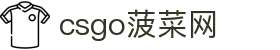 csgo菠菜网(中国区)有限公司官网